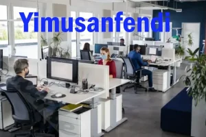 yimusanfendi