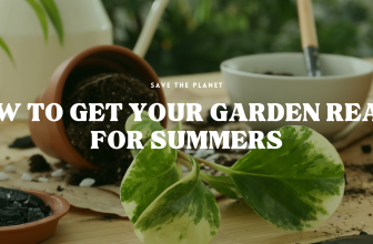 How to Get Your Garden Ready for Summers: Essential Tips