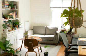 Sustainable Living: Budget-Friendly Tips for an Eco-Friendly Home